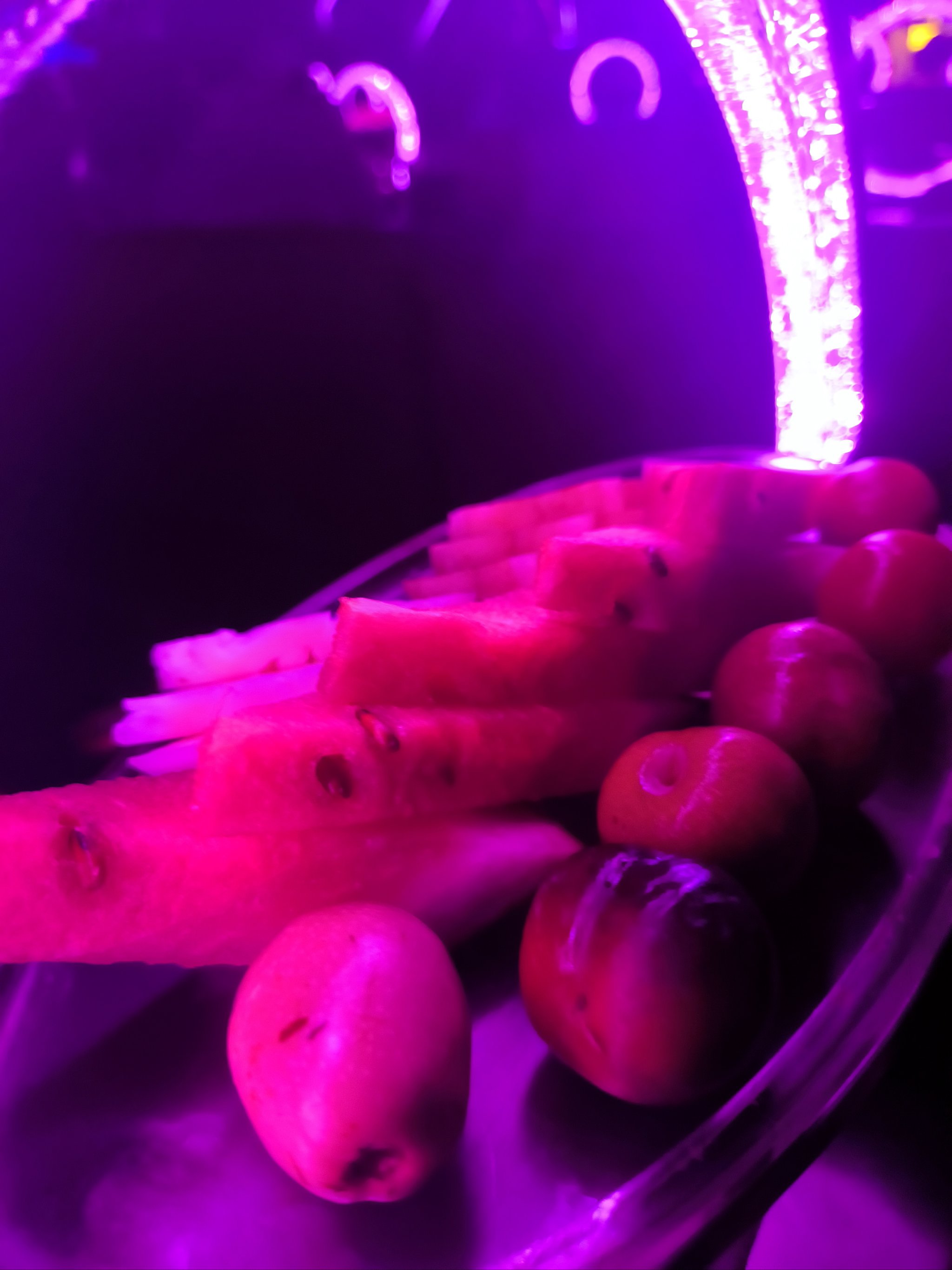 遵义商务ktv引领创新商务ktv模式-桐梓县ktv预定